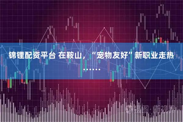 锦锂配资平台 在鞍山，“宠物友好”新职业走热……