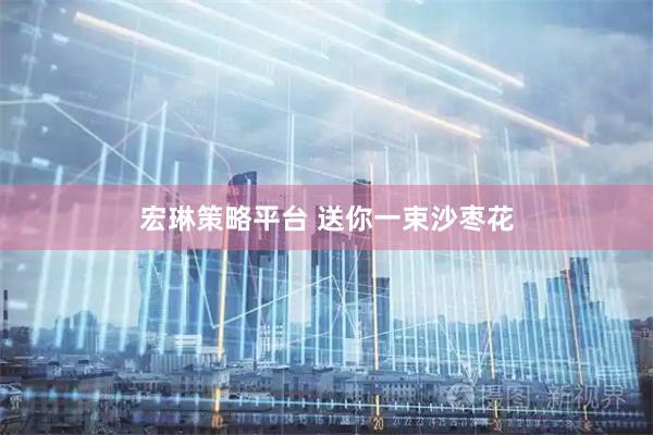 宏琳策略平台 送你一束沙枣花